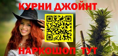 гидра Заводоуковск