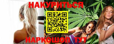 гидра Заводоуковск